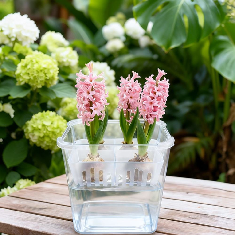 Plant Pot - Vaso hidropônico para tulipas e lóbulos