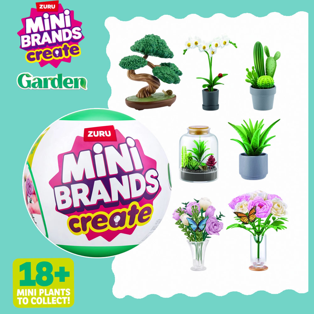Succulent Set - Conjunto de Plantas DIY para Jardim