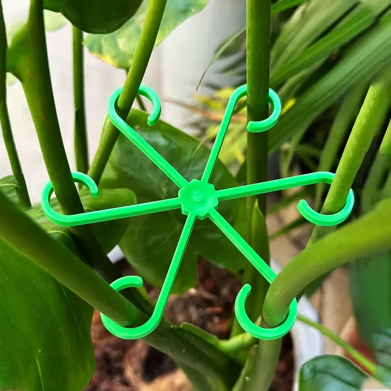 Flower Plant Stem Support Stak - Plant Support Stake avaliação e preço