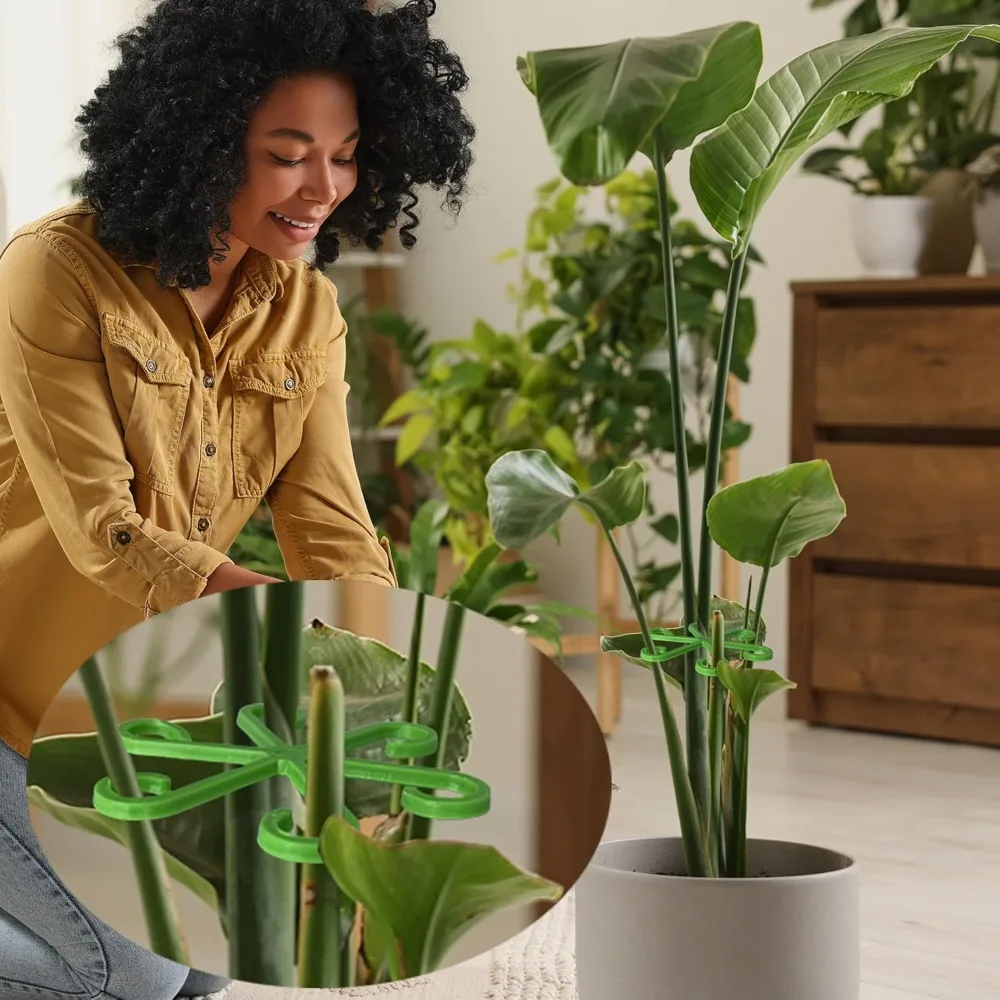 Flower Plant Stem Support Stak - Plant Support Stake avaliação e preço