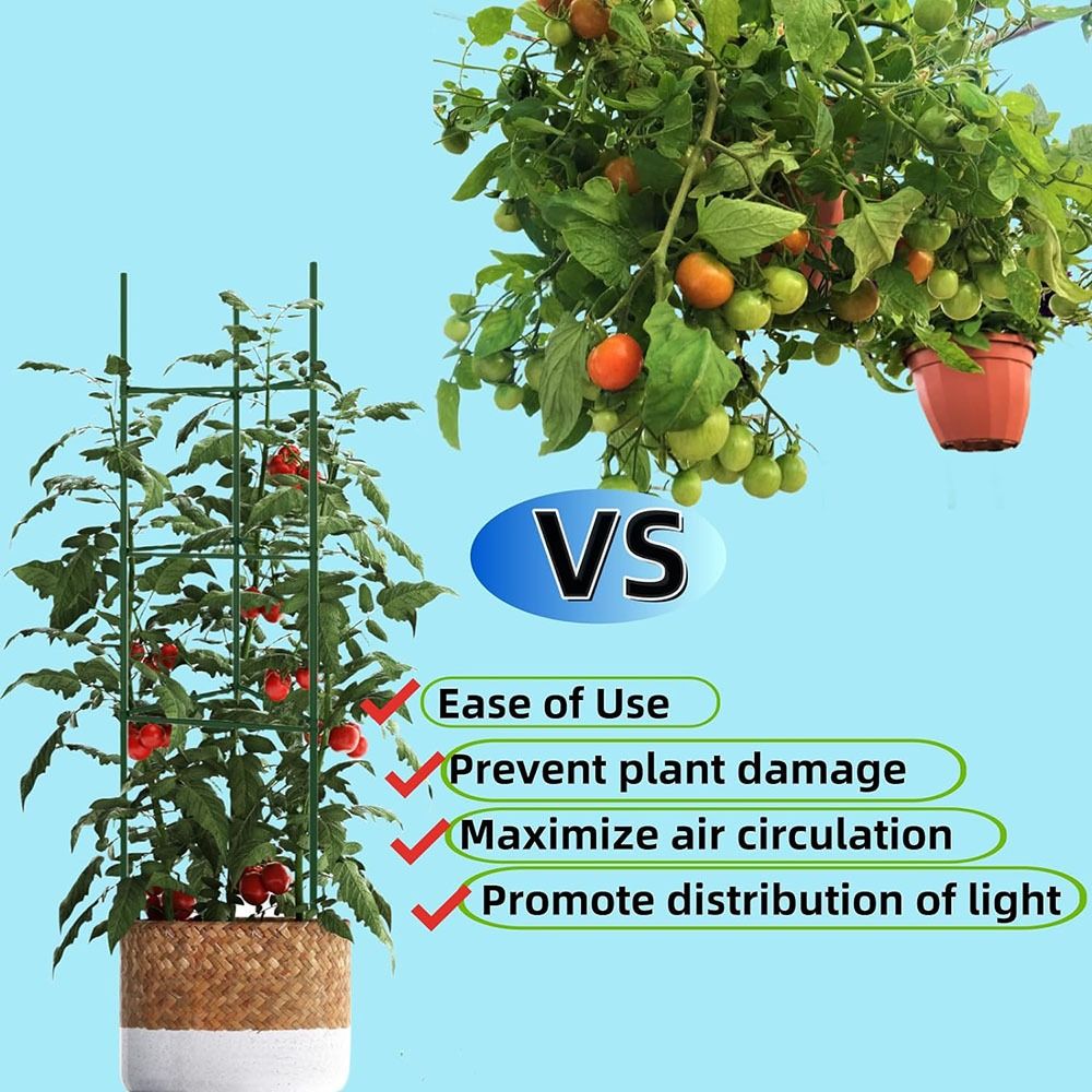 Plant Stake Arms for Tomato Ca - Plant Support Stake avaliação e preço