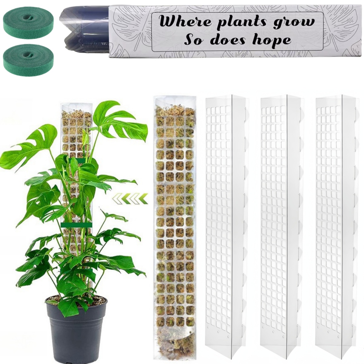 Pólo de musgo plástico planta  - Plant Support Stake avaliação e preço