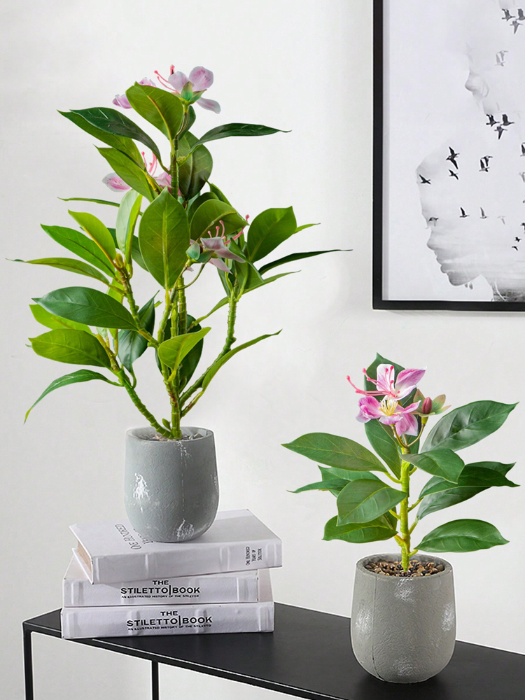 Plantas artificiais azaleas de - Snake Plant avaliação e preço
