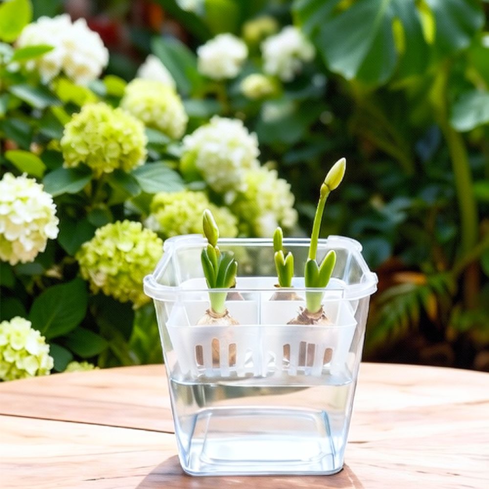 Vaso hidropônico para tulipas  - Plant Pot avaliação e preço