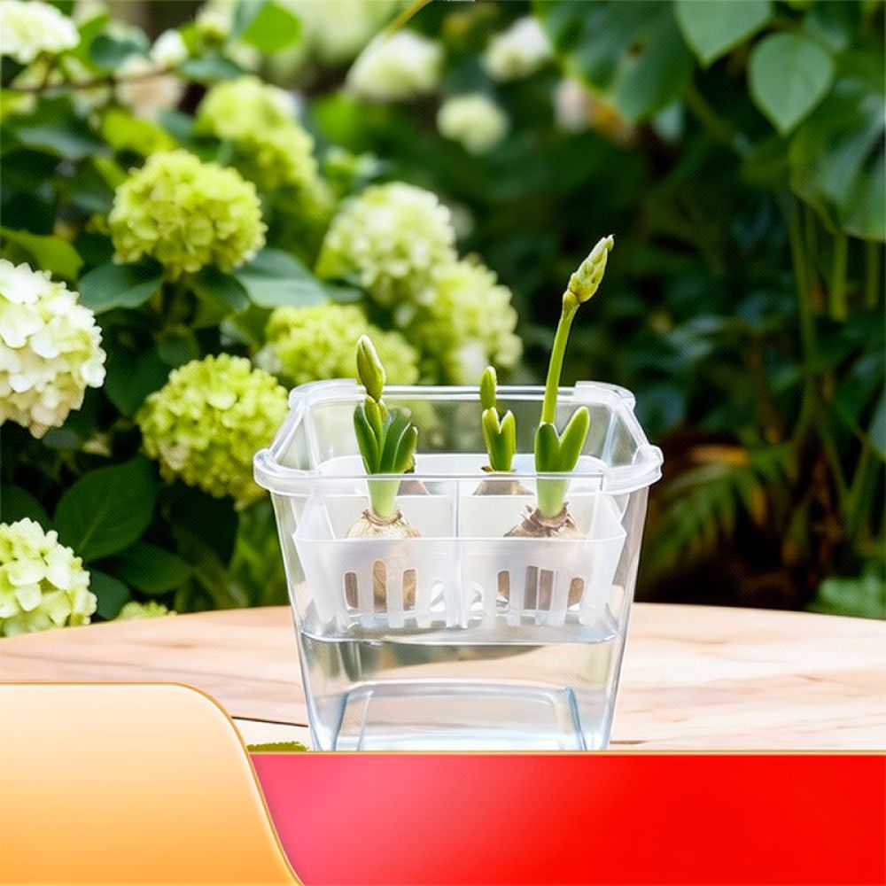 Vaso hidropônico para tulipas  - Plant Pot avaliação e preço