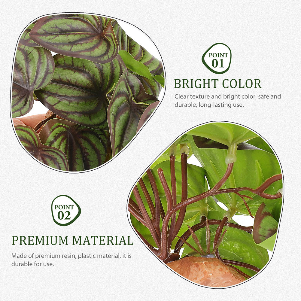 Plantas de Simulação de Alta Q - Snake Plant avaliação e preço