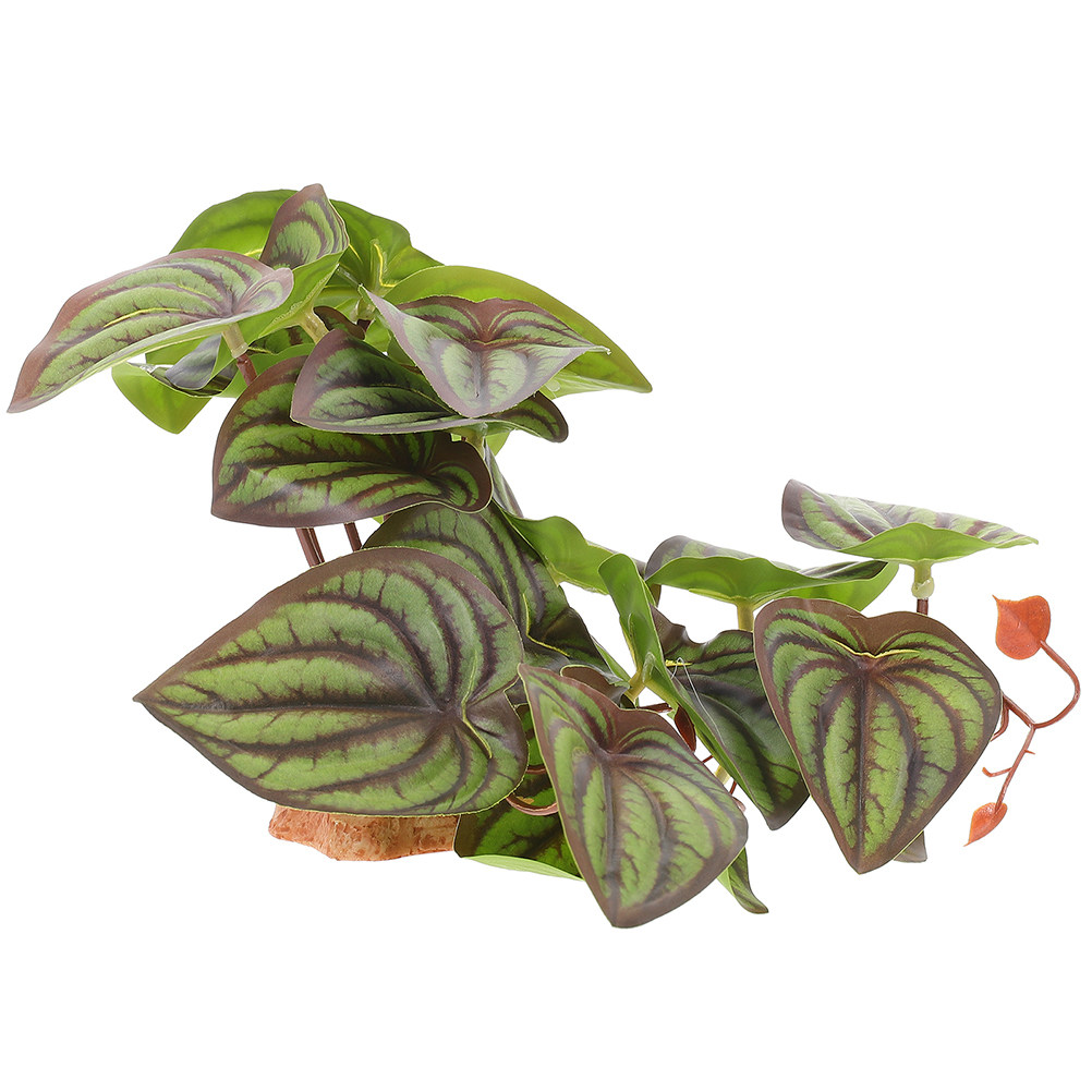 Plantas de Simulação de Alta Q - Snake Plant avaliação e preço
