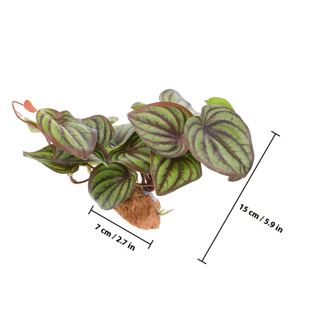 Plantas de Simulação de Alta Q - Snake Plant avaliação e preço