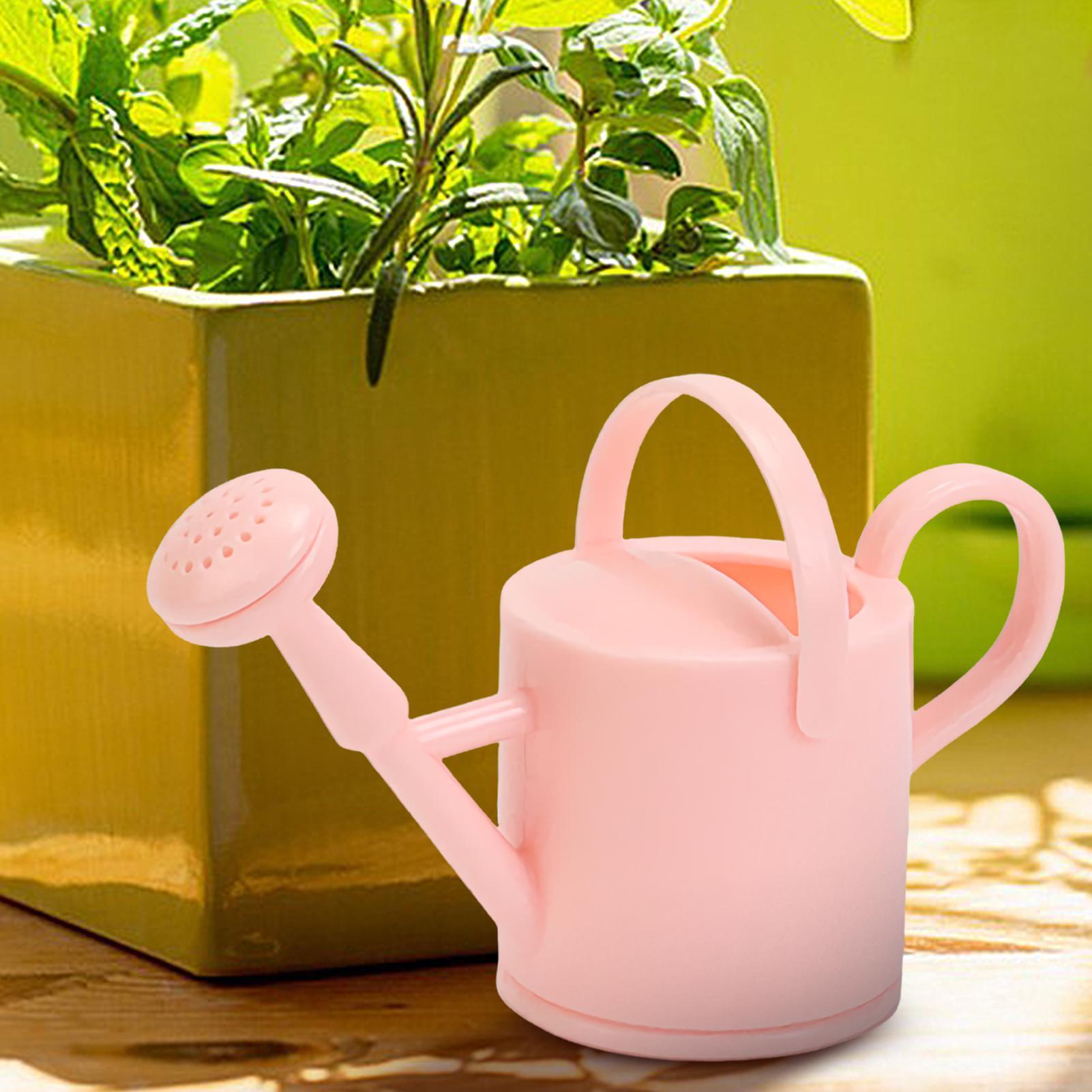 Regador Pequeno para Crianças, - Succulent Set avaliação e preço