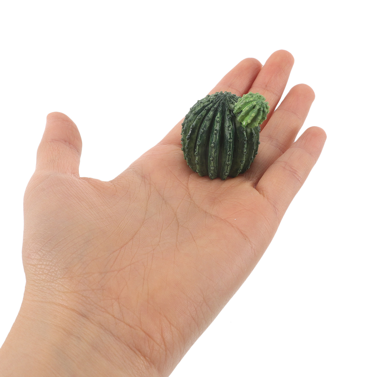 Conjunto de miniaturas de cact - Succulent Set avaliação e preço
