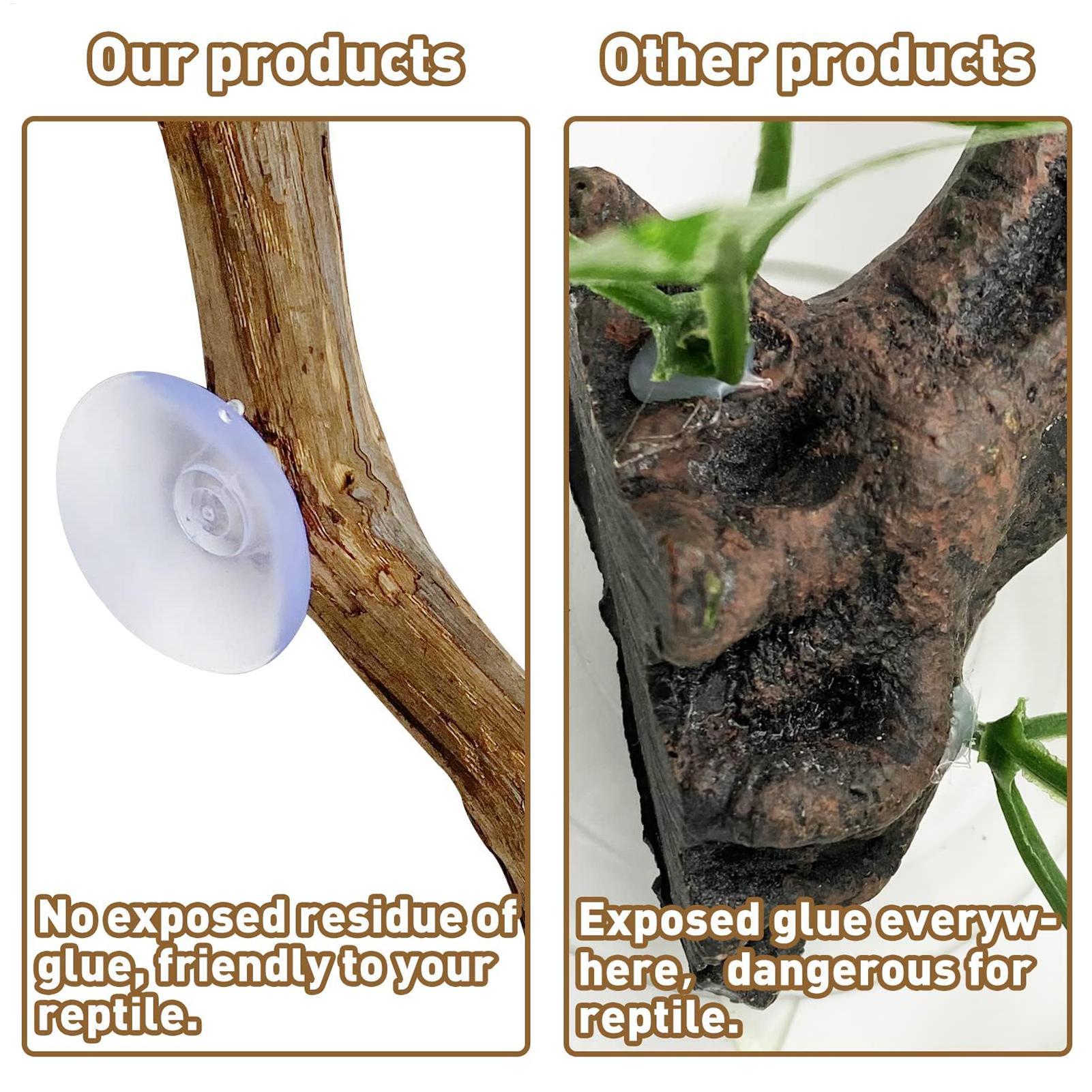 Pau de Escalada para Répteis,  - Snake Plant avaliação e preço
