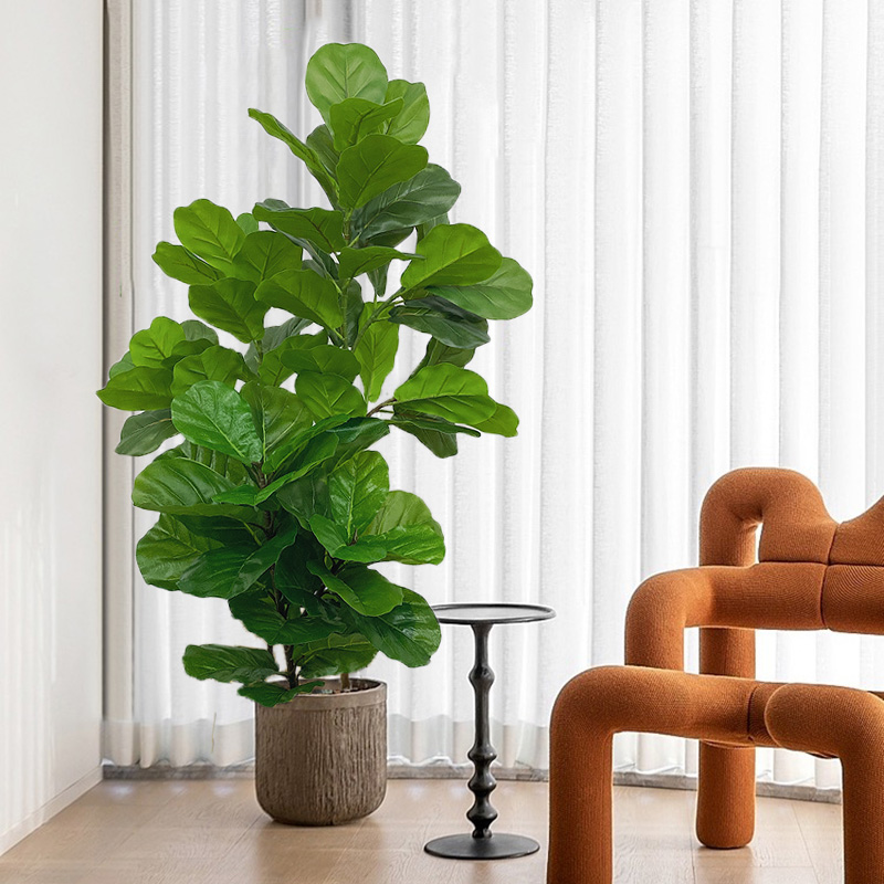 23-41in artificial ficus árvor - Fiddle Leaf Fig avaliação e preço