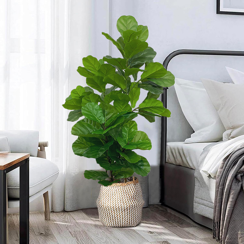 23-41in artificial ficus árvor - Fiddle Leaf Fig avaliação e preço
