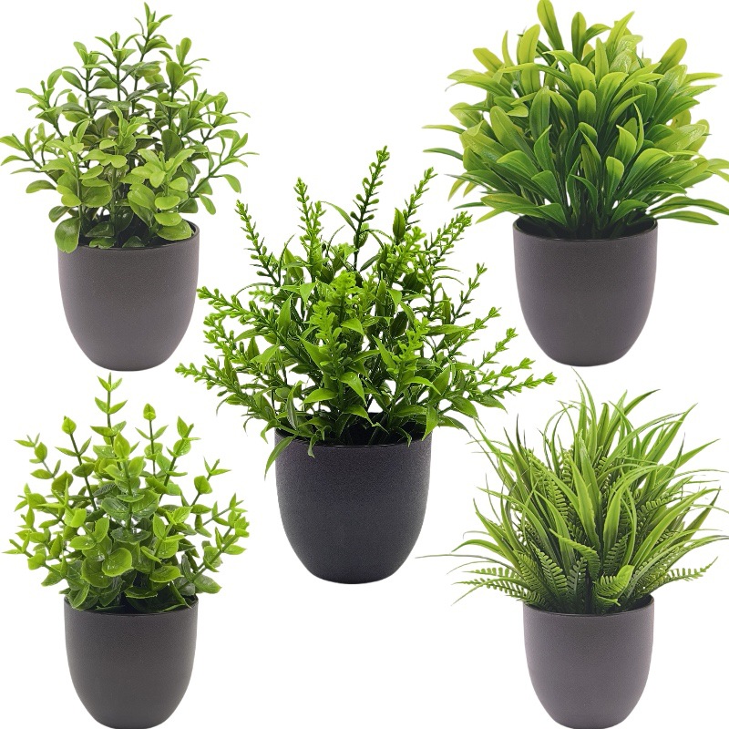 Bonsai de Planta Verde Simulad - Succulent Set avaliação e preço