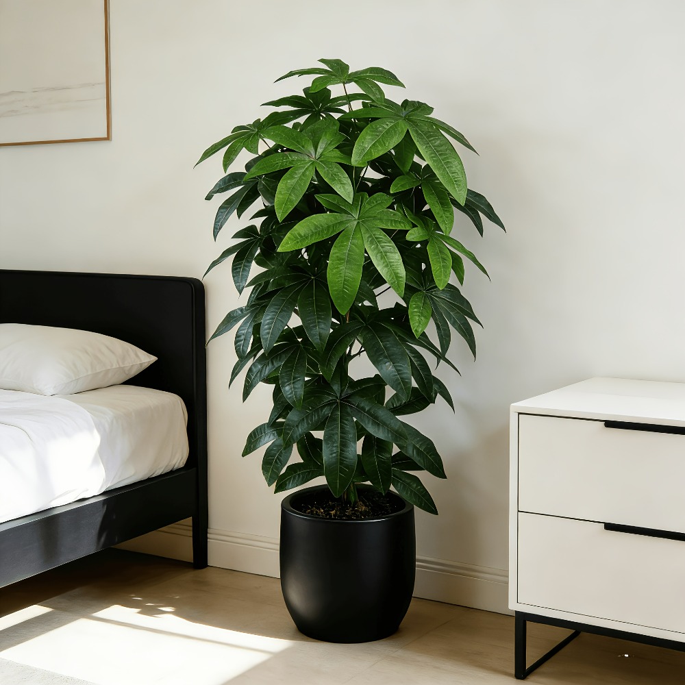 Árvore do Dinheiro Artificial  - Succulent Set avaliação e preço